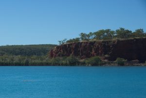 Melomys Island