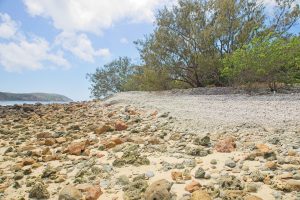 Fantome Island